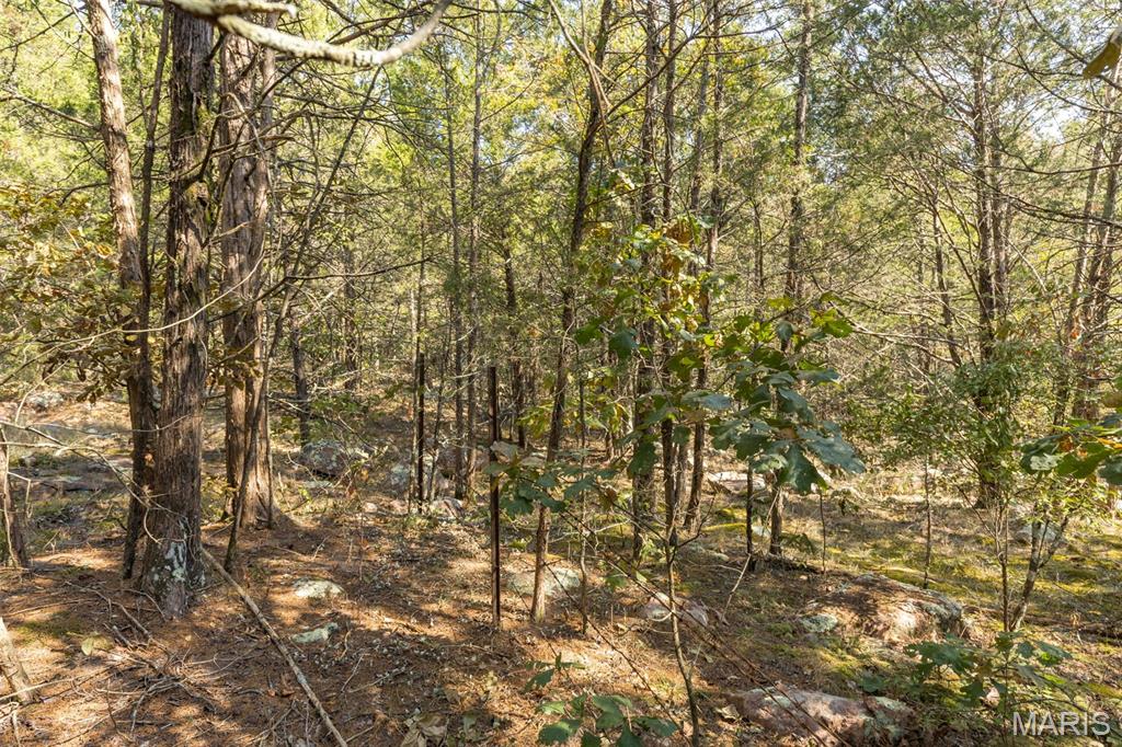 12.5+/- Acres On Effin Road