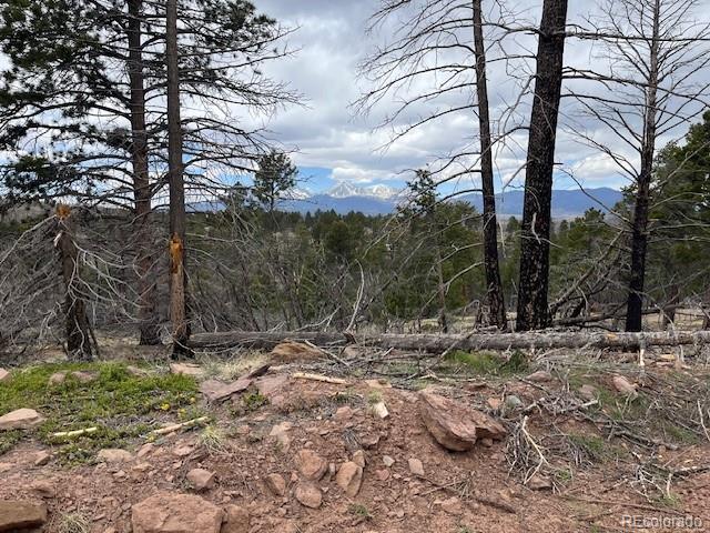 Lot 513 Leslie Loop