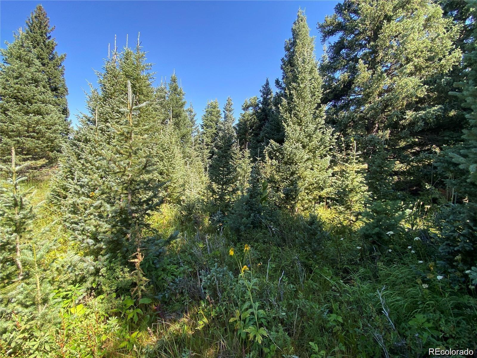 Lot 3141 Forbes Loop Road