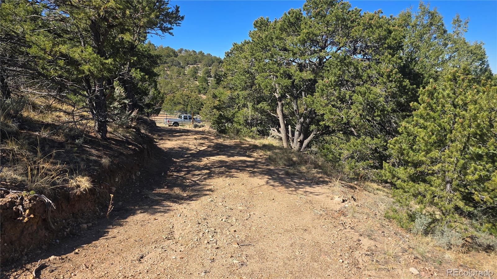 Lot 5996 Rod Road