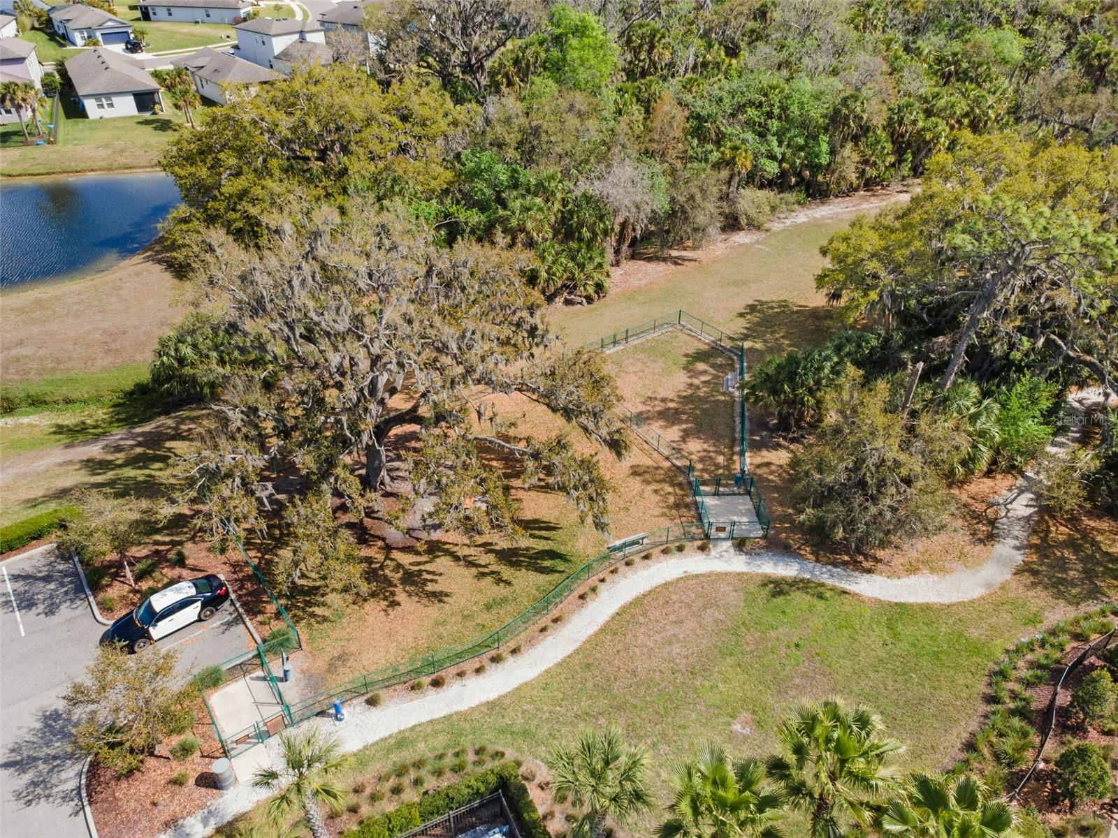 8523 Rain Lily Crossing