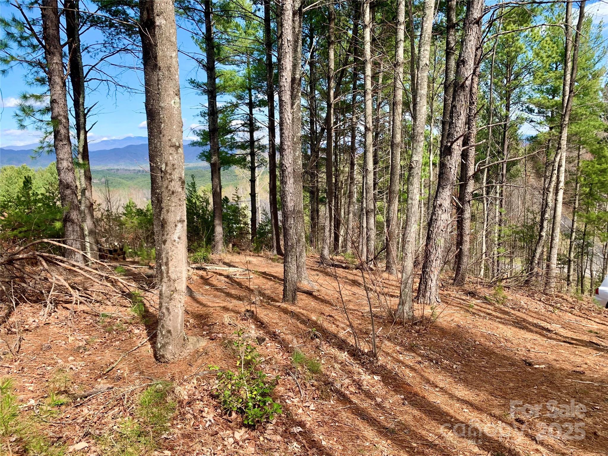 1.62 acres Lot 204B Johns Ridge Parkway Lot 204B