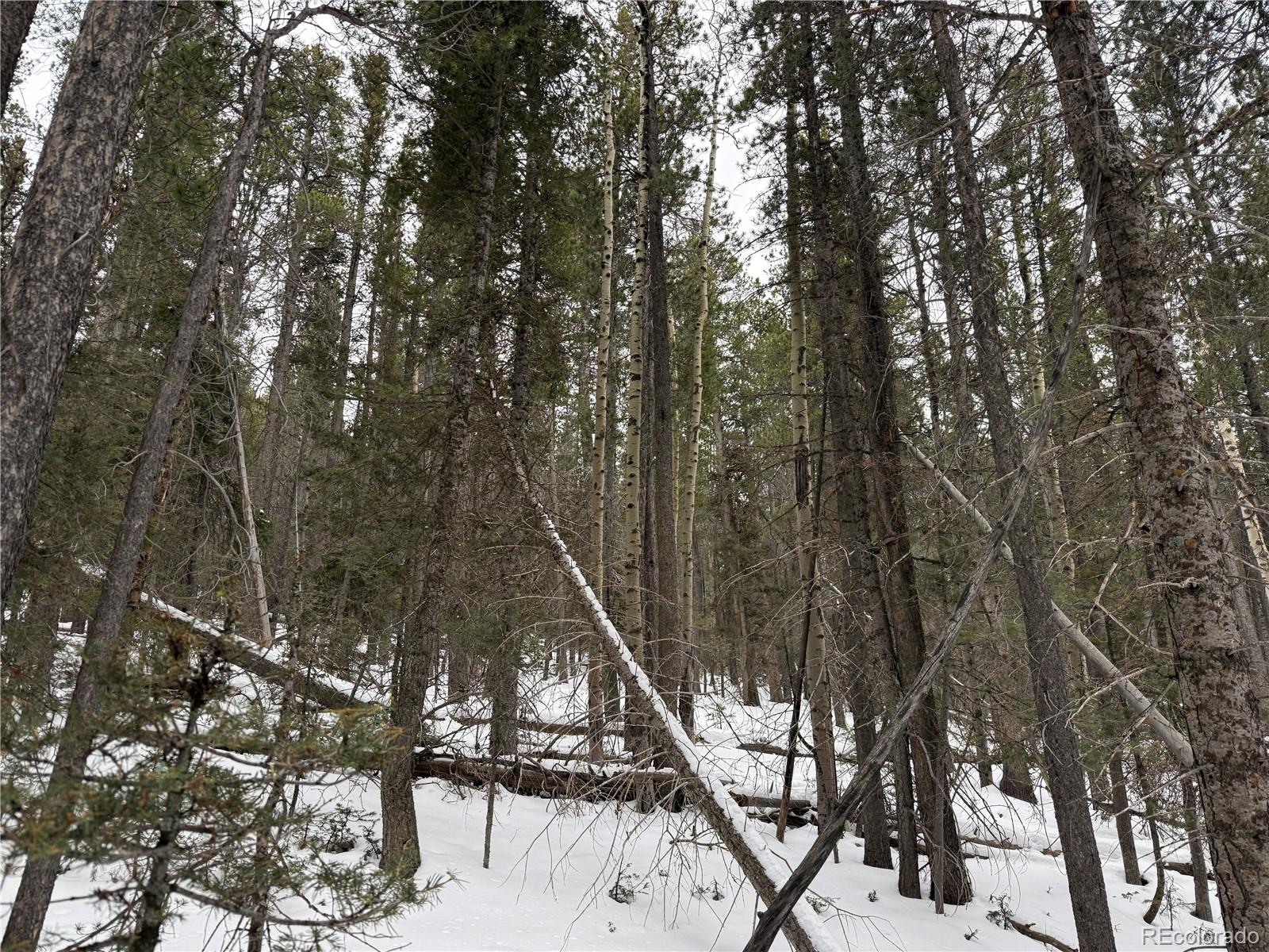 Lot 2806 Moir Drive