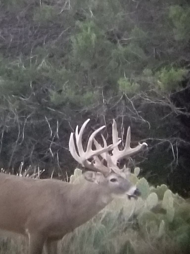 101 NE Big Draw Drive