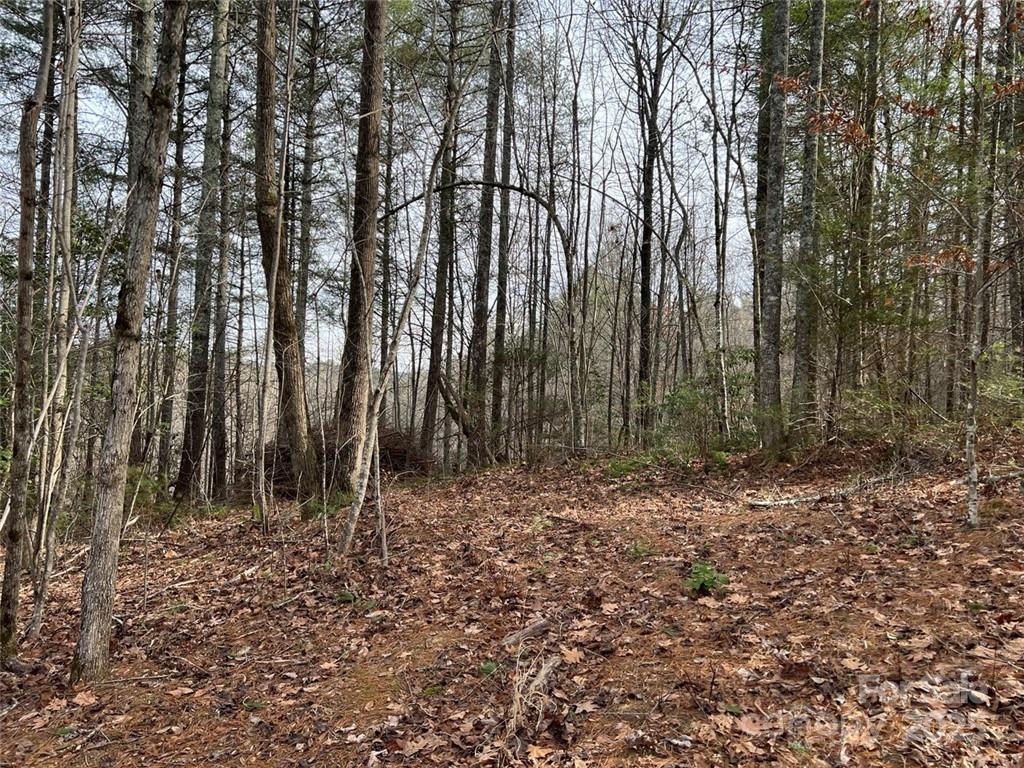 Lot 77, 1712 Round Mountain Parkway Lot 77