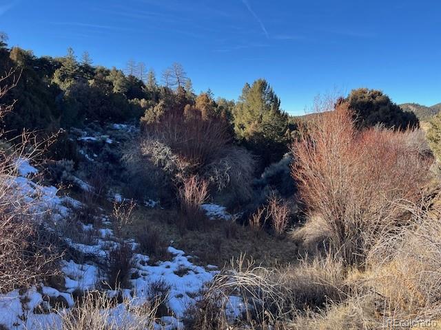 Lot 6016 Forbes Road