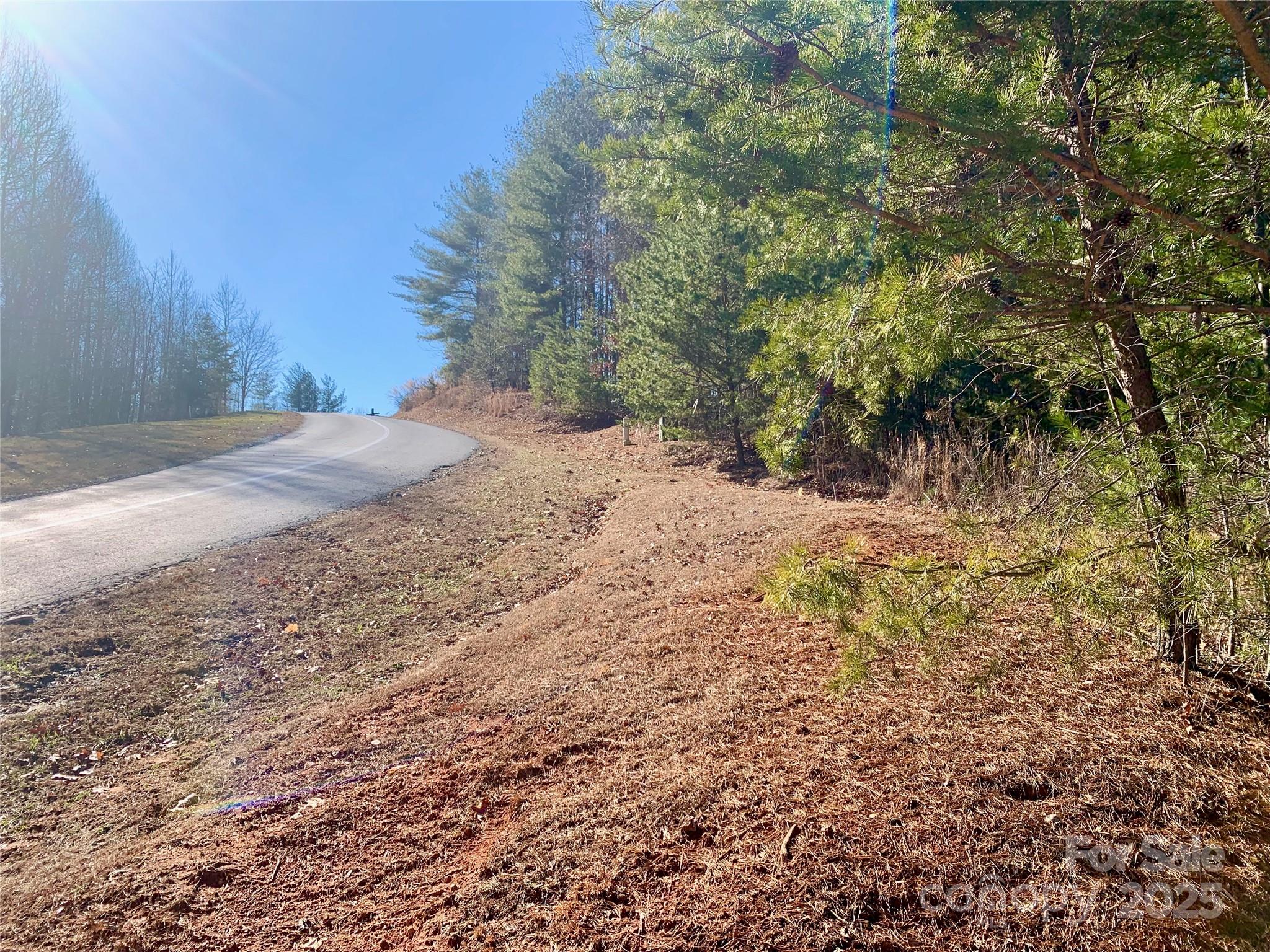 1879 Johns Ridge Parkway Lot 163