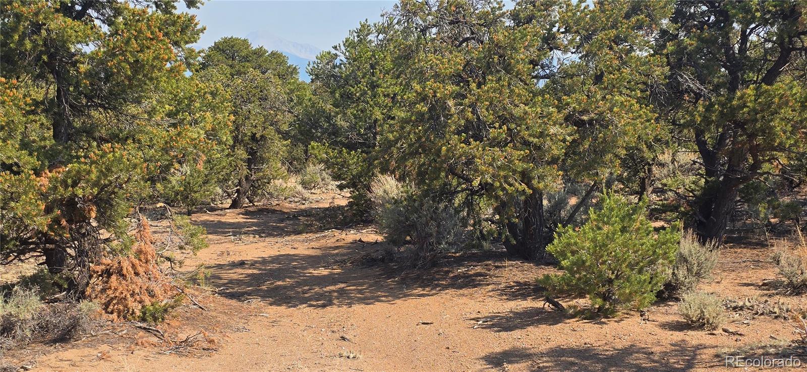 Lot 1659 Slegers Circle
