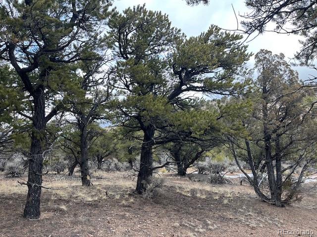 Lot 2087 Sandoval Road