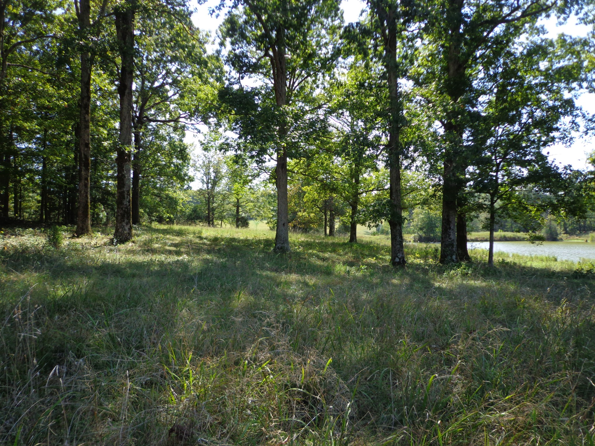 1551 Tennessee Ridge Road