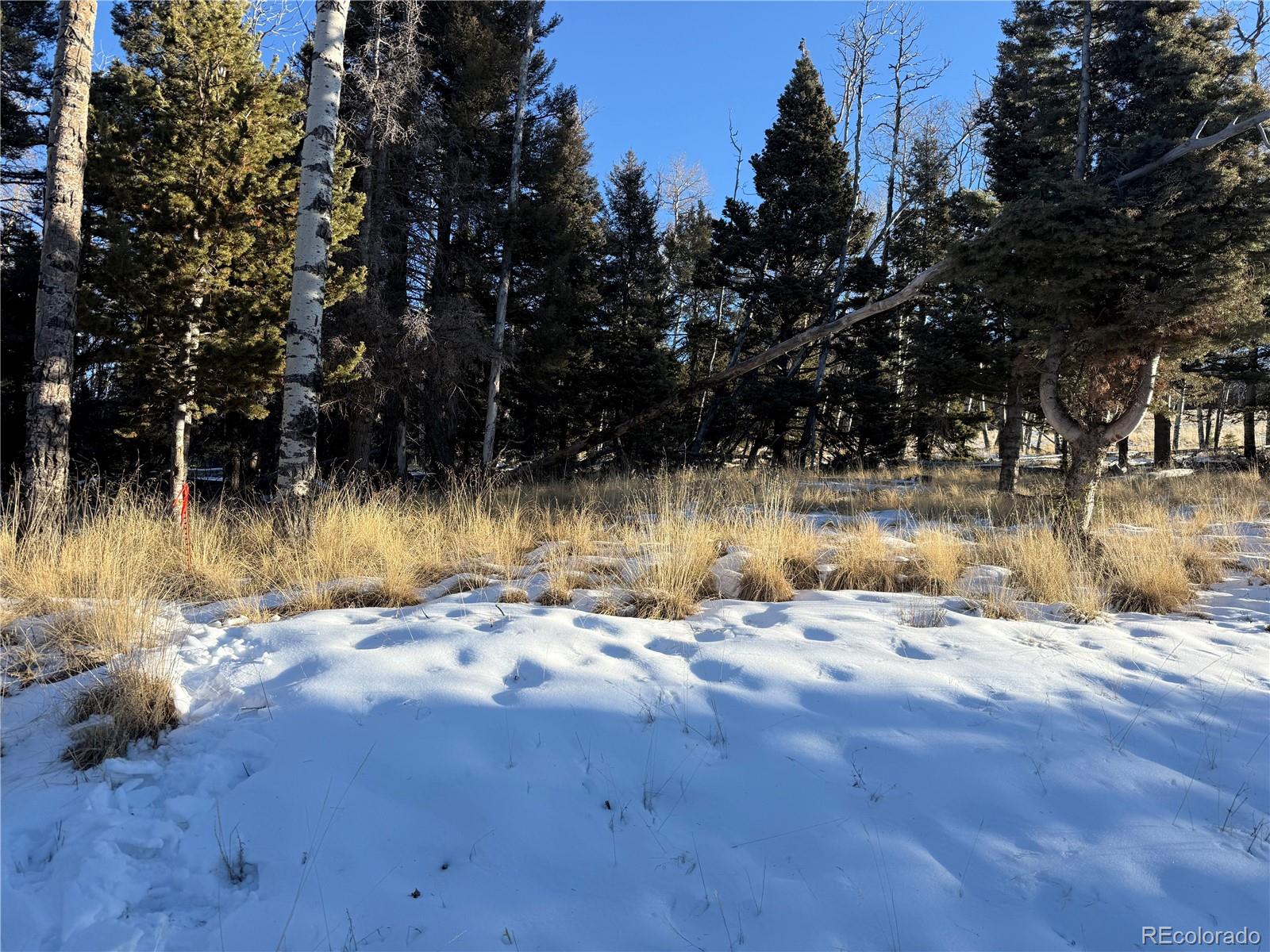 Lot 499 Collinson Drive