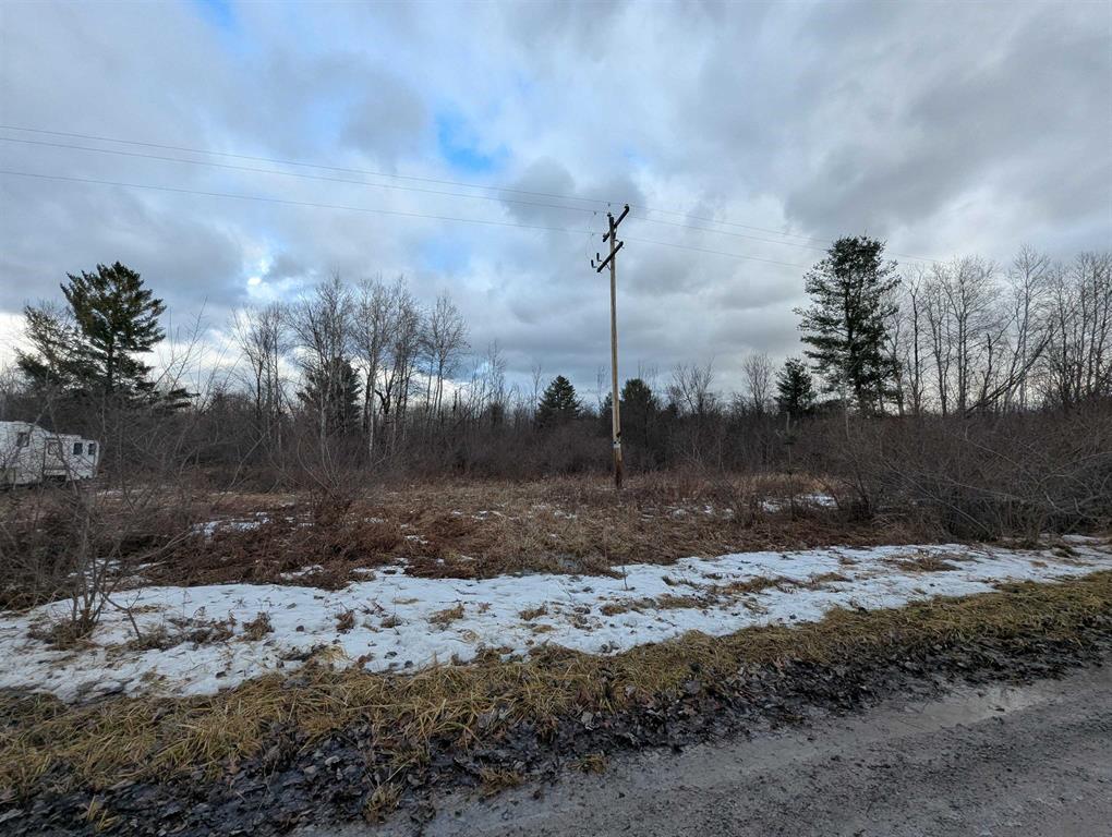 A beautiful square wooded 40 acre parcel that fronts two roads not far from M-65 and US-23! Located in a secluded area this property is primed for hunting, recreation, and possibly a location for a home!