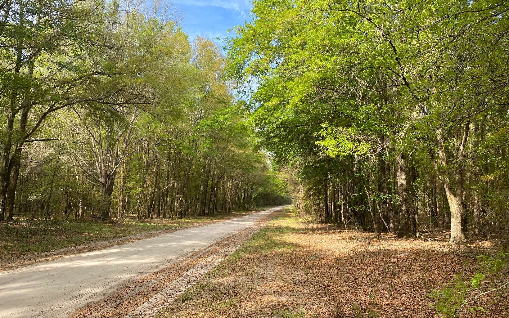 Live Oak Real Estate 154Th Cir Live Oak ,FL available for 32,000. MLS