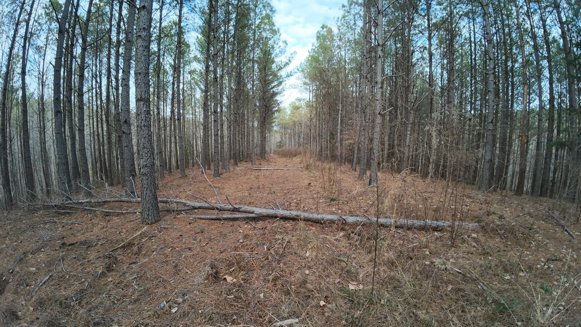 240 Brookstone Dr