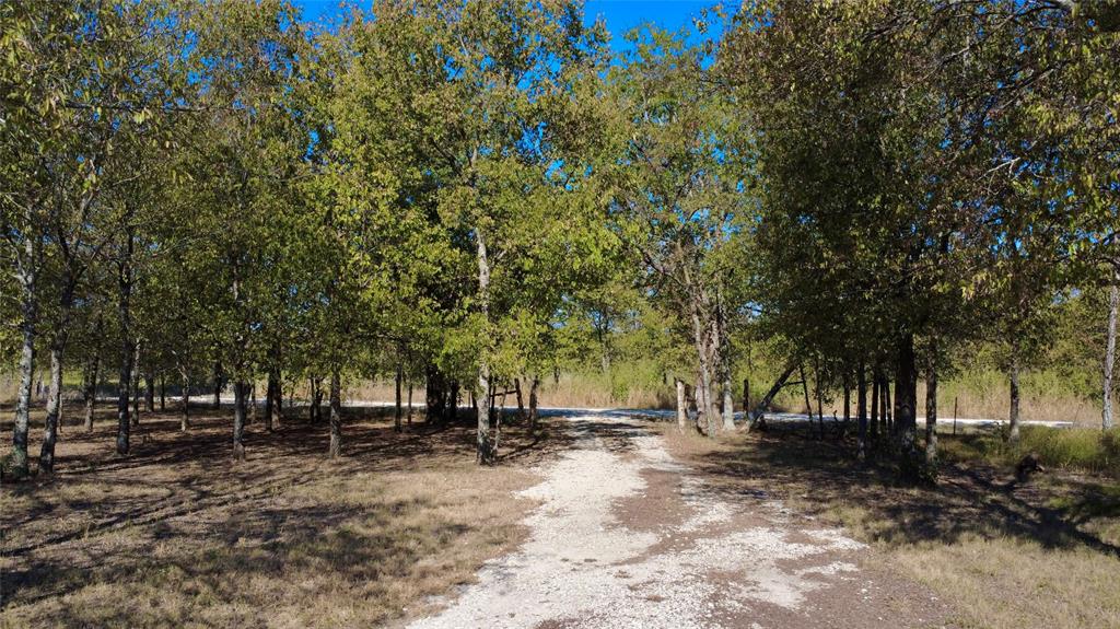 4902 County Road 2397