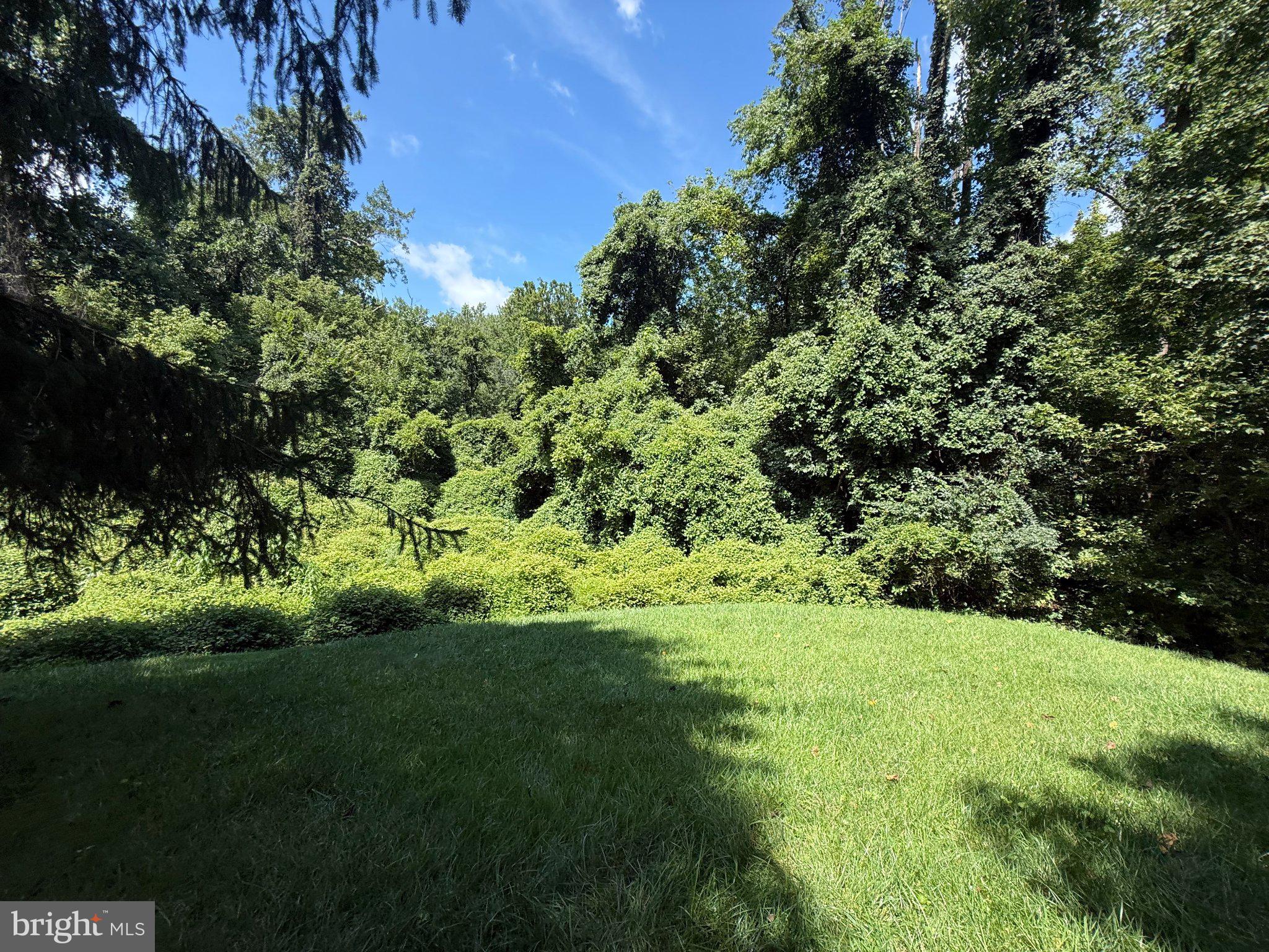 Old Chesterbrook Rd