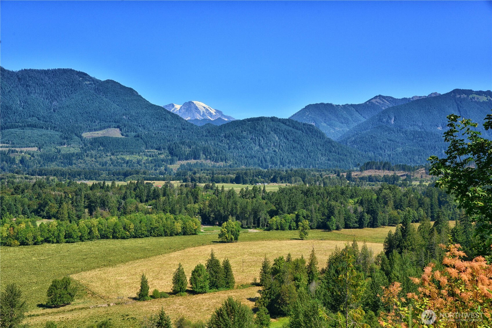 Unmatched Mt. Rainier & Cowlitz River Views–10 Acres of Pure PNW Beauty! Wake up to jaw-dropping views of Mt. Rainier & the winding Cowlitz River from not 1, but 2 level, cleared sites—ready for immediate recreational use while you plan your dream home. This stunning 10-acre recreational retreat is surrounded by lush natural vegetation & majestic trees, creating a private oasis that feels worlds away yet is just minutes from Packwood. Whether you’re seeking a peaceful escape or a basecamp for adventure, this property delivers. With the Gifford Pinchot National Forest nearby, your days can be filled w/hiking, fishing, hunting, or simply soaking in the scenery. 2 ready-to-use sites mean you can start enjoying the incredible views right away!