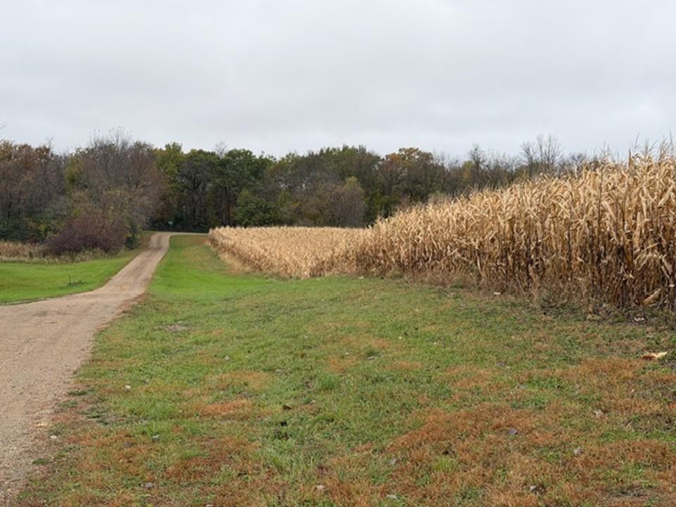 33100 Saint Olaf Way