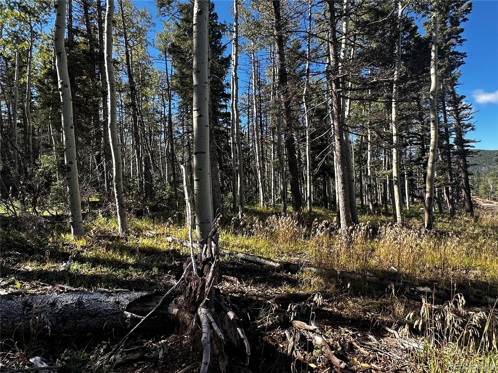 Lot 2652 Petito Drive