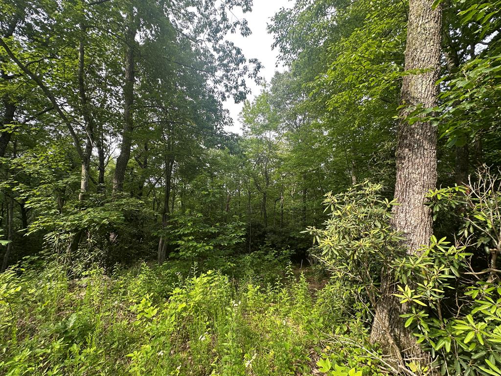 Escape to the Blue Ridge Mountains! Discover this beautiful mountain property located just off the scenic Blue Ridge Parkway in Patrick County, Virginia. Nestled in a gated community, this lot features underground electricity already in place—a perfect head start for building your dream mountain getaway! Enjoy stunning long-range mountain views, peaceful surroundings, and the sights and sounds of local wildlife—deer, turkey, and more—all while being just: 10 minutes to Fancy Gap, 20 minutes to Hillsville, VA,  20 minutes to Mt. Airy, NC You're close to charming shops, great restaurants, and essential amenities, yet tucked away from the noise and traffic of city life. Whether you're dreaming of a quiet retirement home, a weekend retreat, or a forever home in the mountains—this property offers the perfect balance of seclusion and convenience. Don't miss your chance to own a slice of mountain paradise. Call today to schedule a visit or learn more!