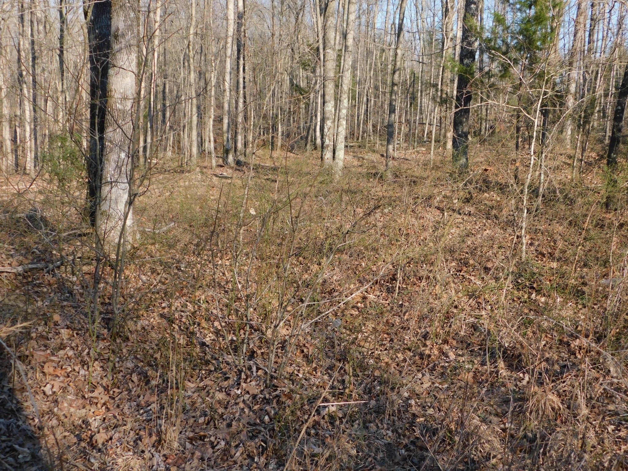 0 Lucas Ridge Road