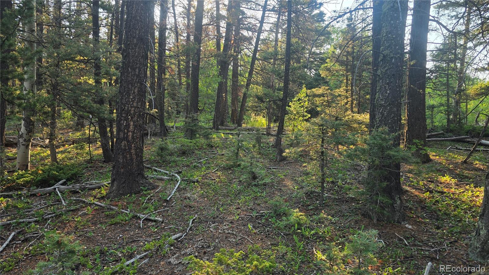 Lot 5768 Clawson Road