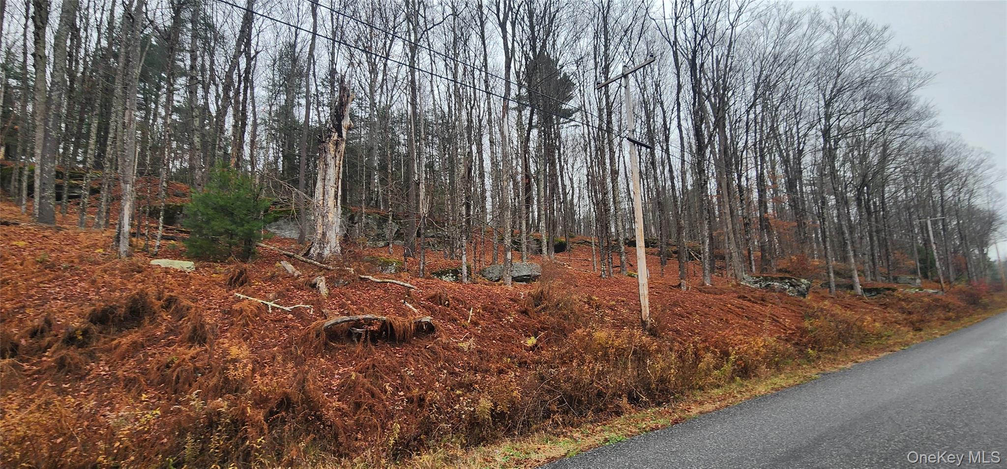 Thompson Road