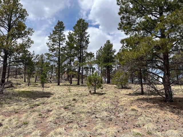 Lot 291 Dany Place