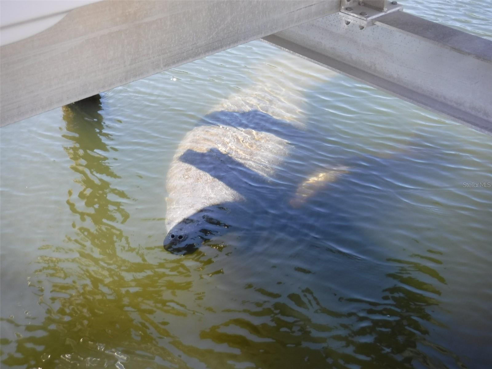 10313 Waterbird Way 4