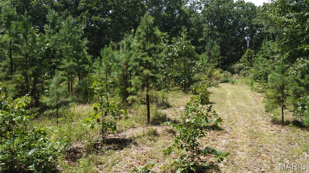 0 Singer Trail 3.84+/-Ac