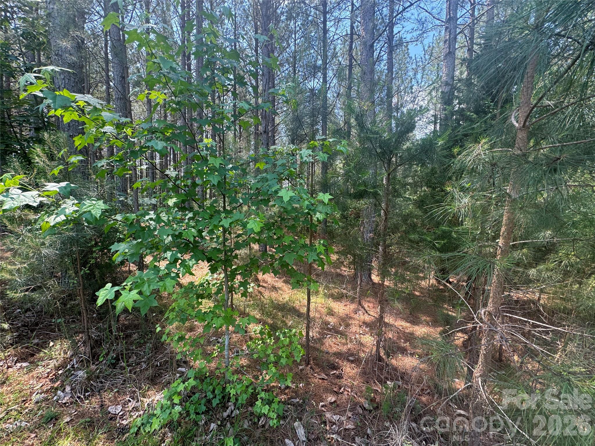 105 Stoney Brook Trail