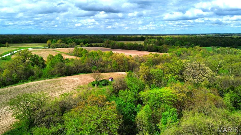 Opportunities like this don't come along often. This 40 +/- acre parcel in Marion County, Missouri delivers the full package — productive tillable ground, quality hunting habitat, mature timber, a seasonal creek, and a neighboring conservation area that dramatically expands the recreational possibilities of this already exceptional tract. 26 +/- of those acres are tillable, carrying an NCCPI rating of 70 — solid, productive ground well-suited to corn, soybeans, or wheat and capable of generating consistent cash rent income from day one. The balance of the property transitions into timber and habitat ground, creating a natural edge that is a magnet for whitetail deer and wild turkey throughout the season. Conservation area advantage: This tract borders a 120-acre conservation area that includes river access — giving the new owner a rare combination of private land ownership alongside publicly accessible water for fishing, waterfowl hunting, kayaking, and more. A seasonal creek runs through the property, adding natural water for wildlife and further enhancing the habitat quality on an already well-rounded tract. Road frontage ensures easy year-round access, and utilities are available nearby — keeping your options open for a hunting cabin, equipment storage, or a future homesite. Whether you're a farmer seeking tillable income, a hunter chasing northeast Missouri's legendary whitetails, or a family looking for a true four-season recreational retreat, this 40+/- acres — with over 160 combined acres of surrounding managed and private habitat — is the kind of ground that rarely hits the open market.