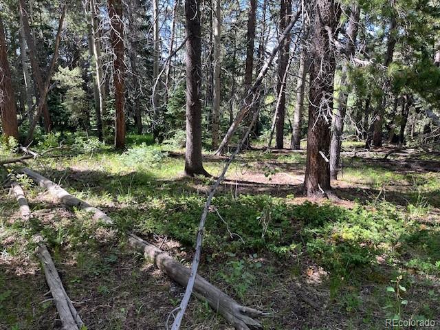 Lot 2893 Coder Place