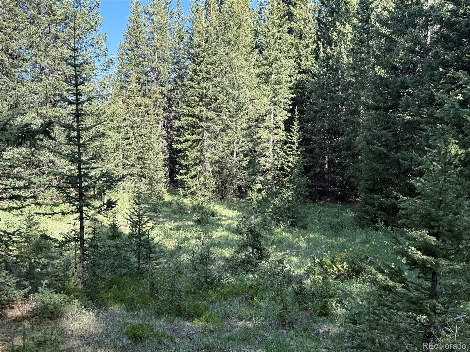 Lot 6843 Ryland Road