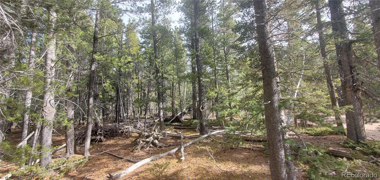 Lot 3246 Zipf Lane
