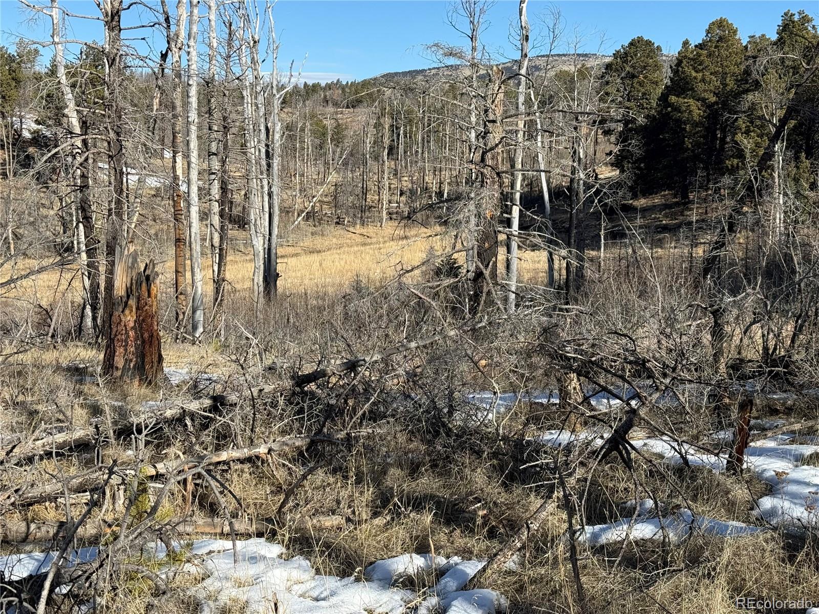 Lot 356 Spangle Drive