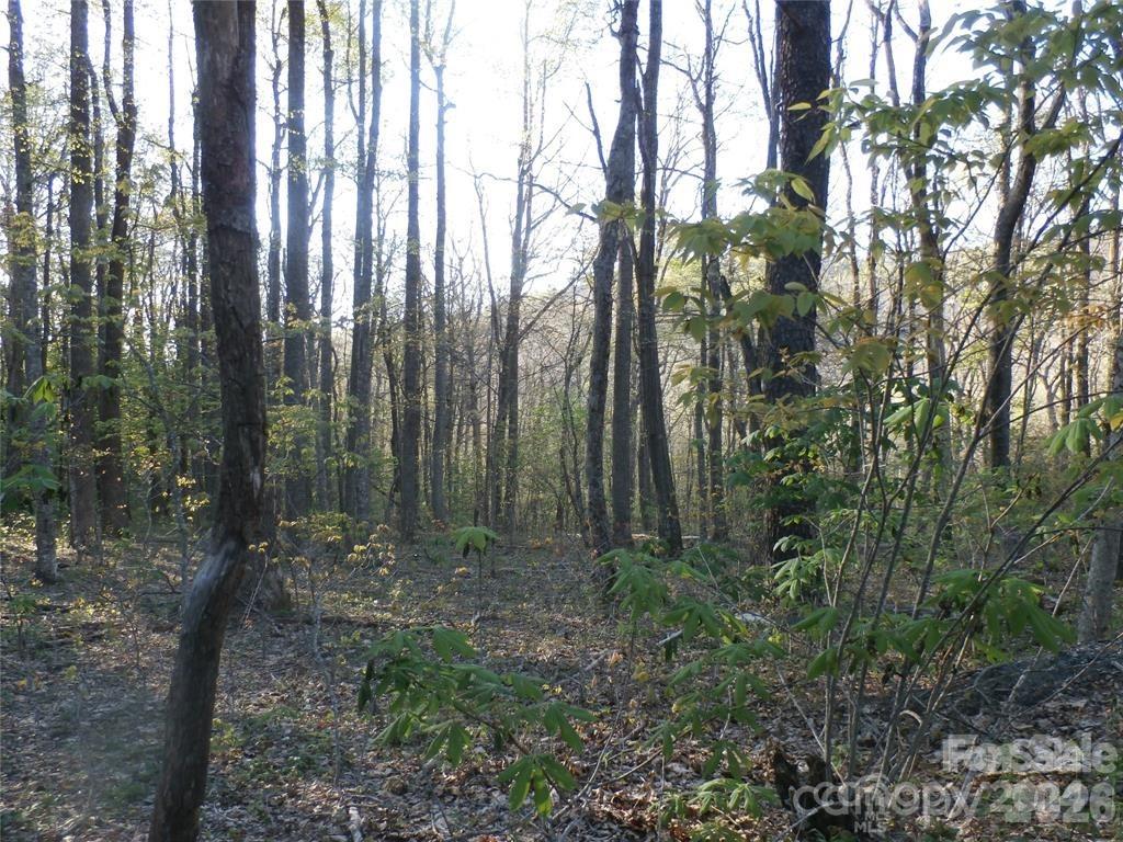 288 Firetower Road