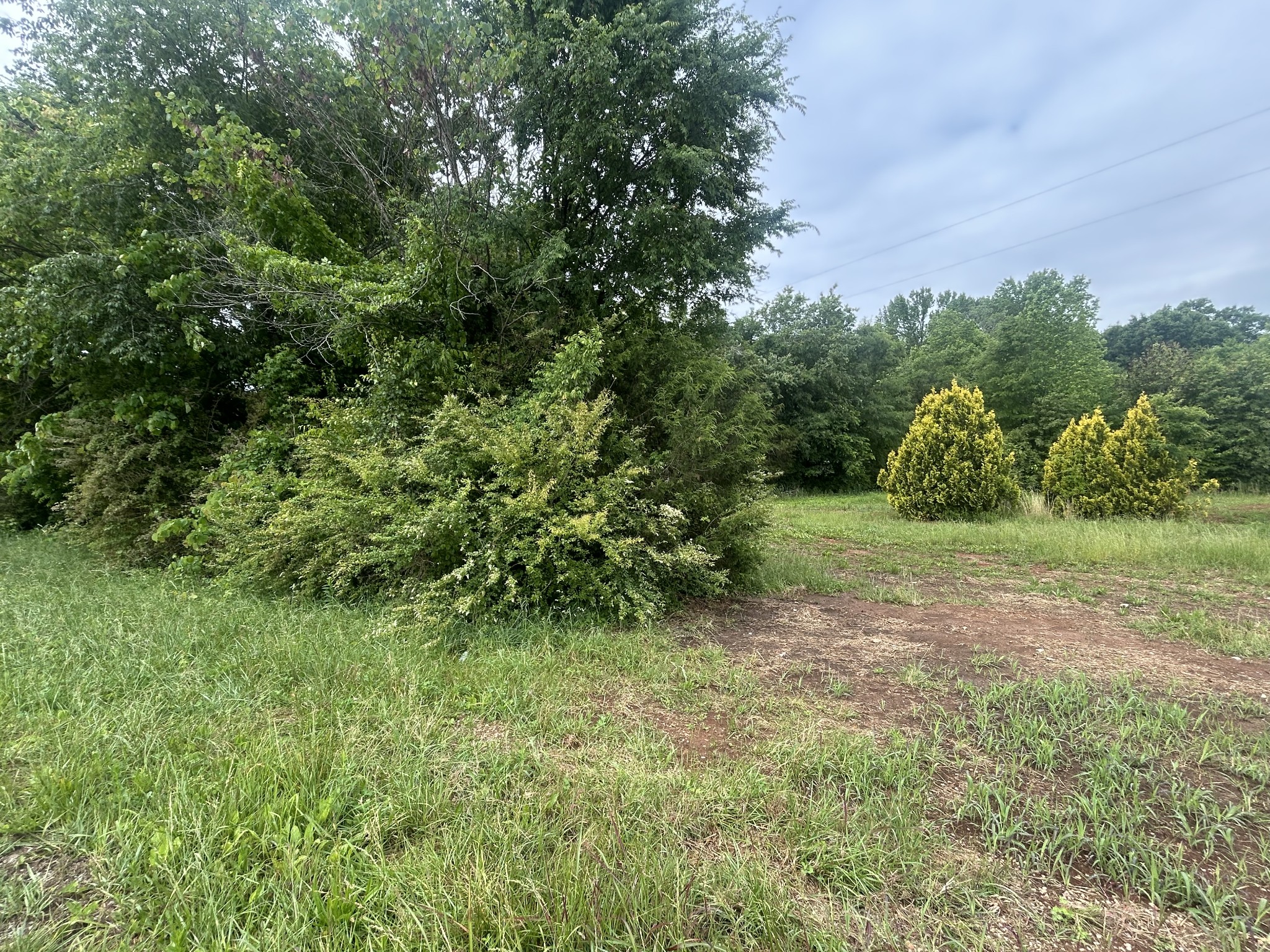 5.34 acres on the desirable Broadview side of Winchester! This beautiful tract is ready to go with a perk site already established—bring your plans and start building. Enjoy the perfect blend of privacy and convenience, located less than 10 minutes from Devil Step boat ramp and Tims Ford Lake. Whether you're looking for a homesite or weekend getaway, this one checks all the boxes! More pictures coming soon.