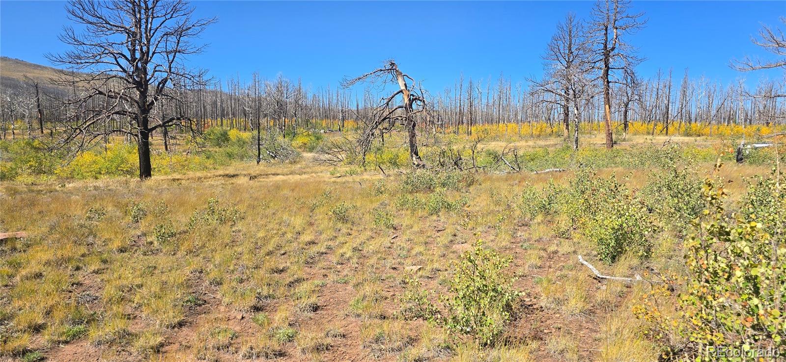 Lot 1684 Emery Loop