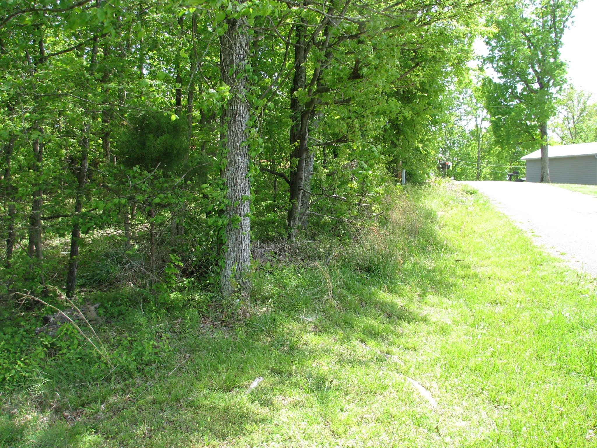 0 Big Richland Dr