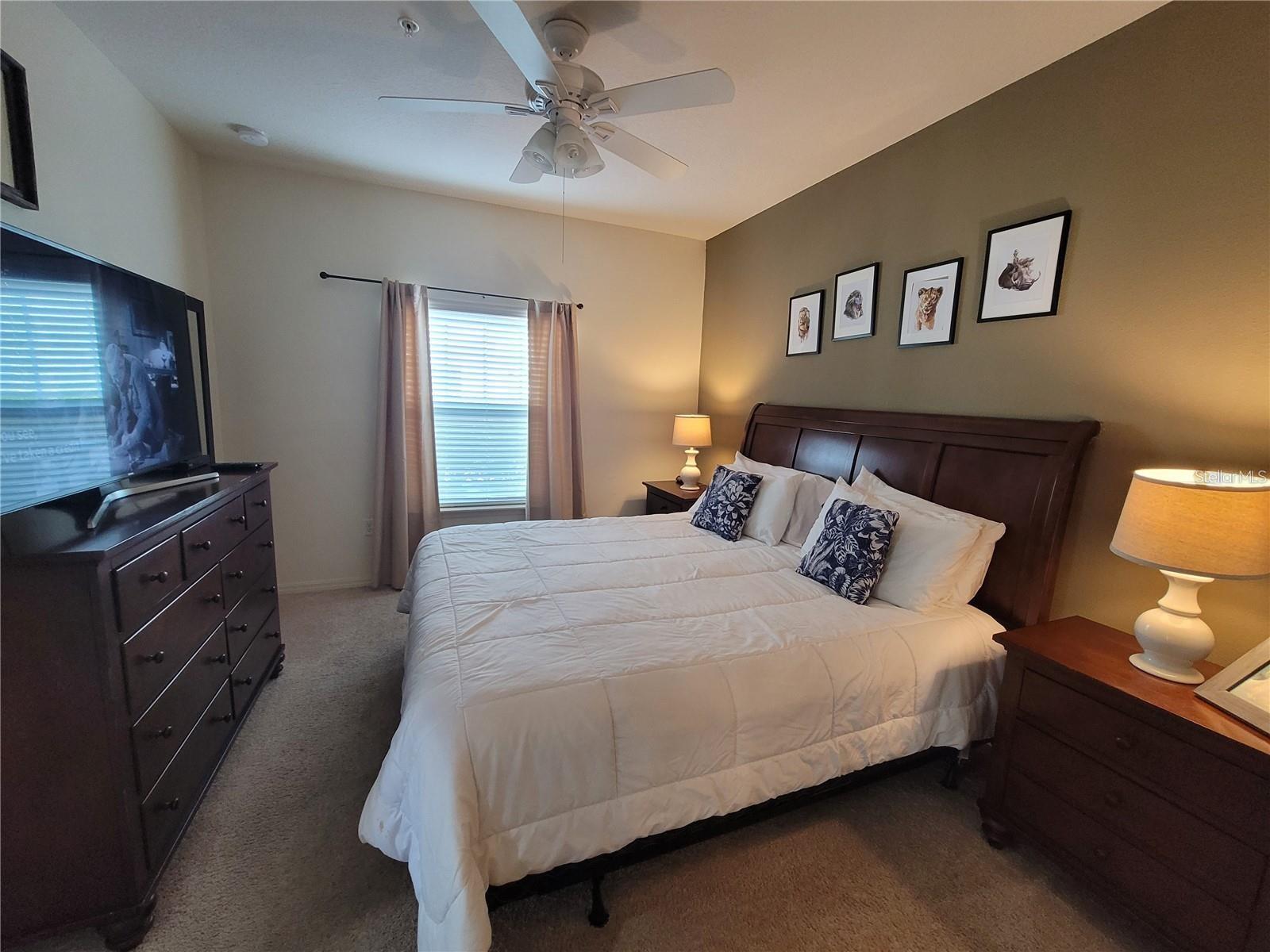 8959 Shine Drive