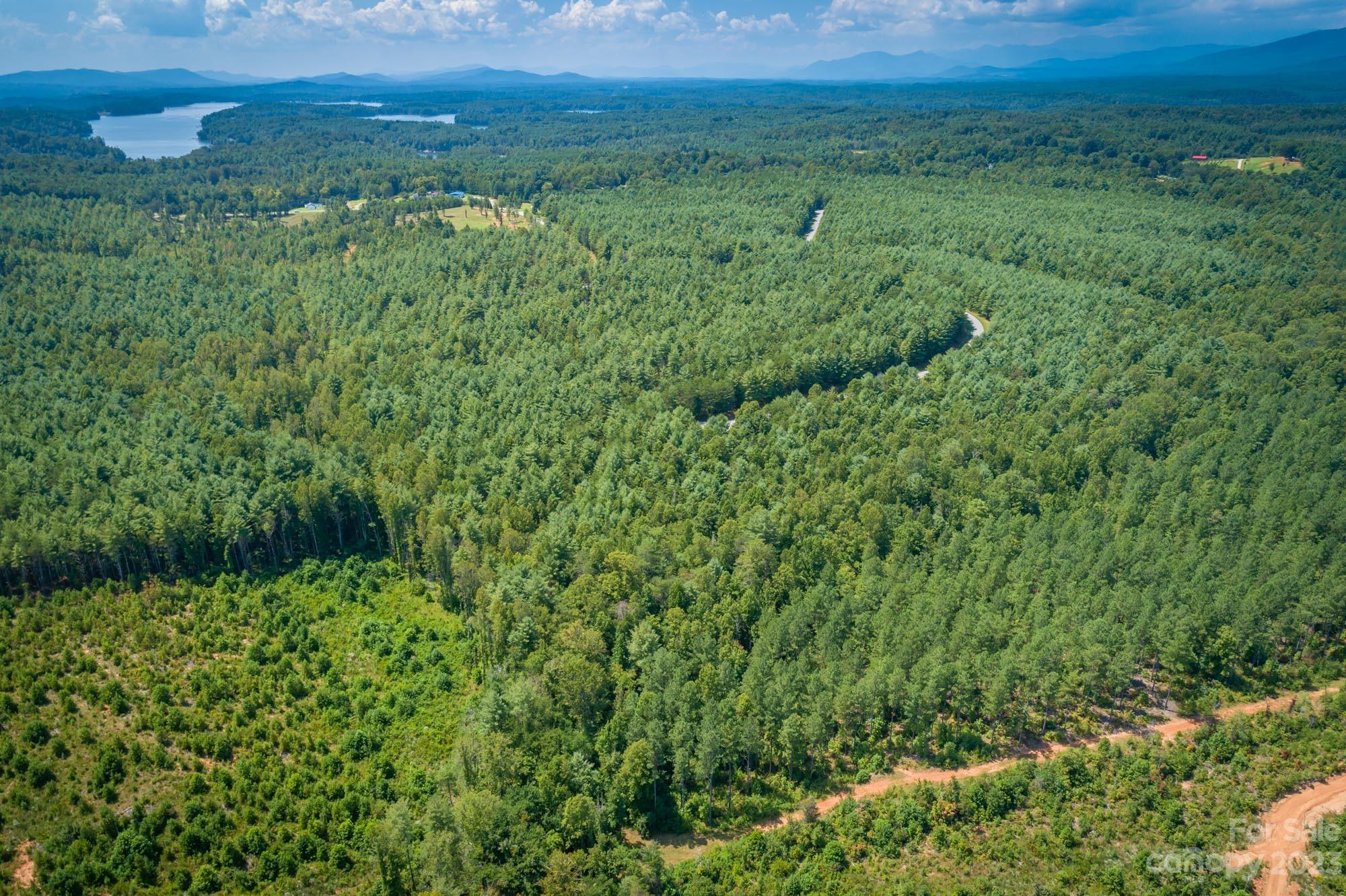 1119 Greene Court 37