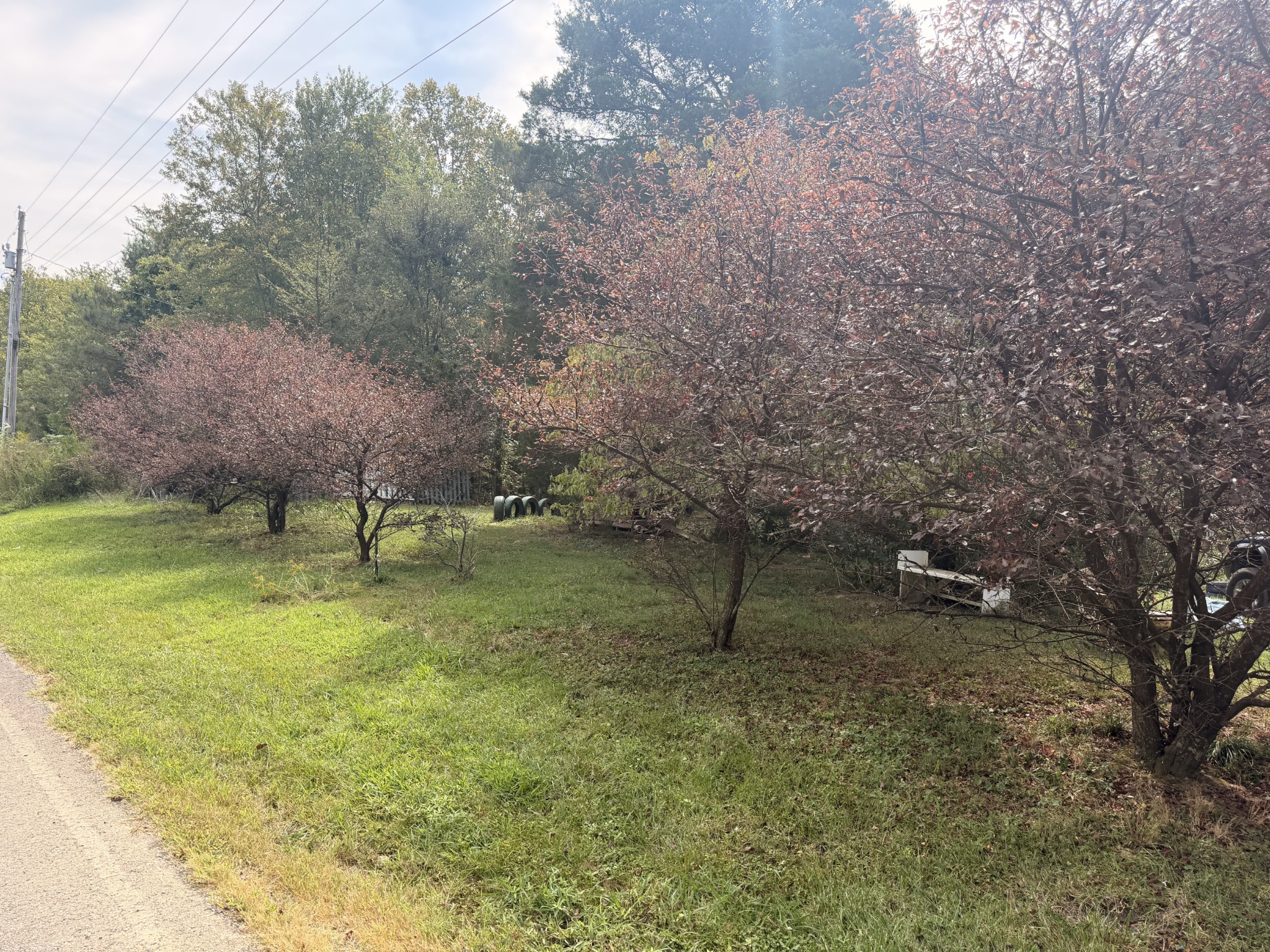 2315 Butcher Ridge Rd
