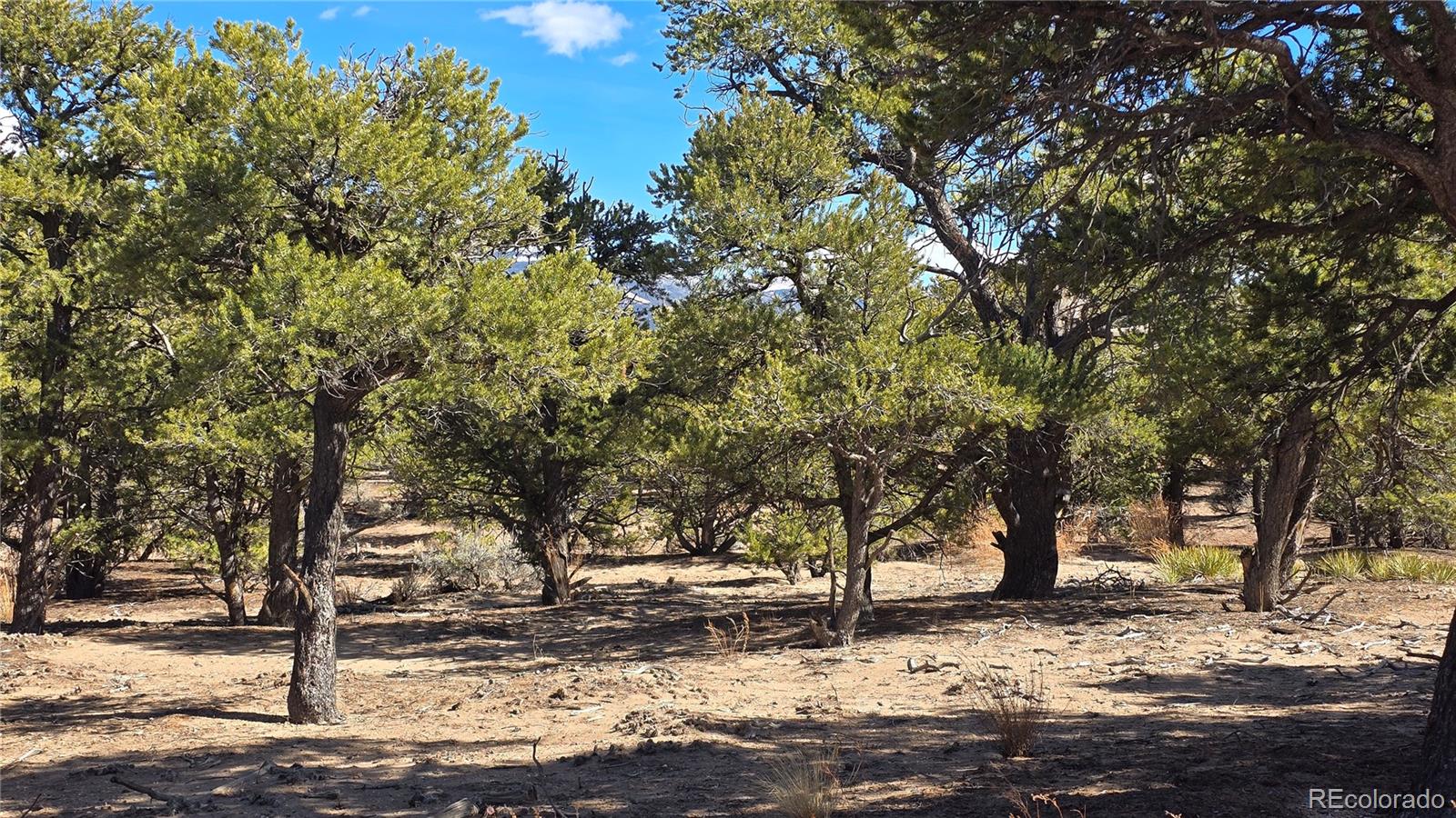 Lot 409 Williams Road