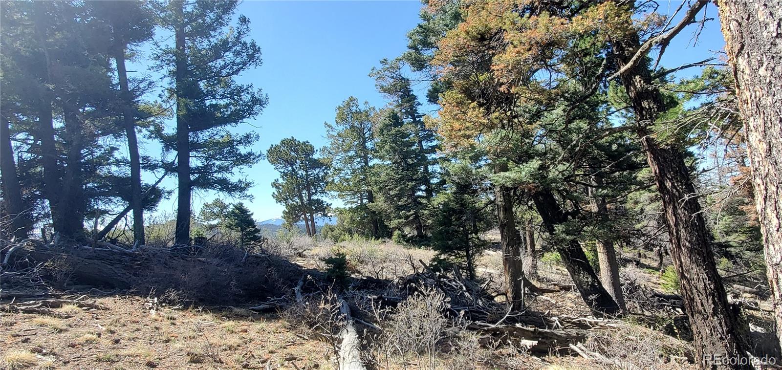 Lot 5802 Tagge Road