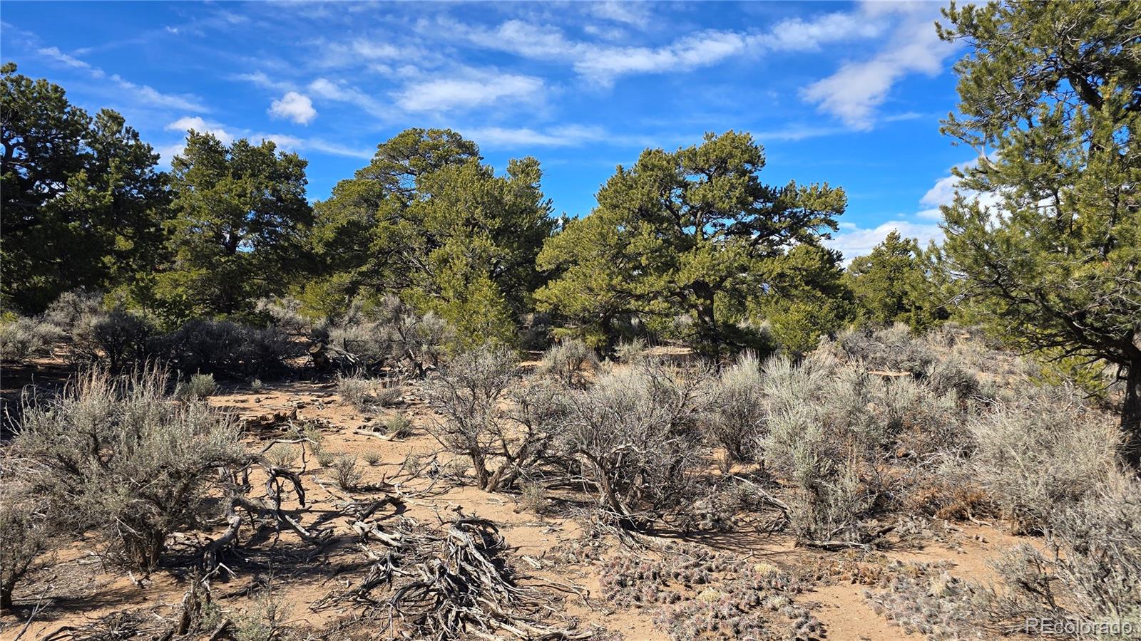 Lot 409 Williams Road