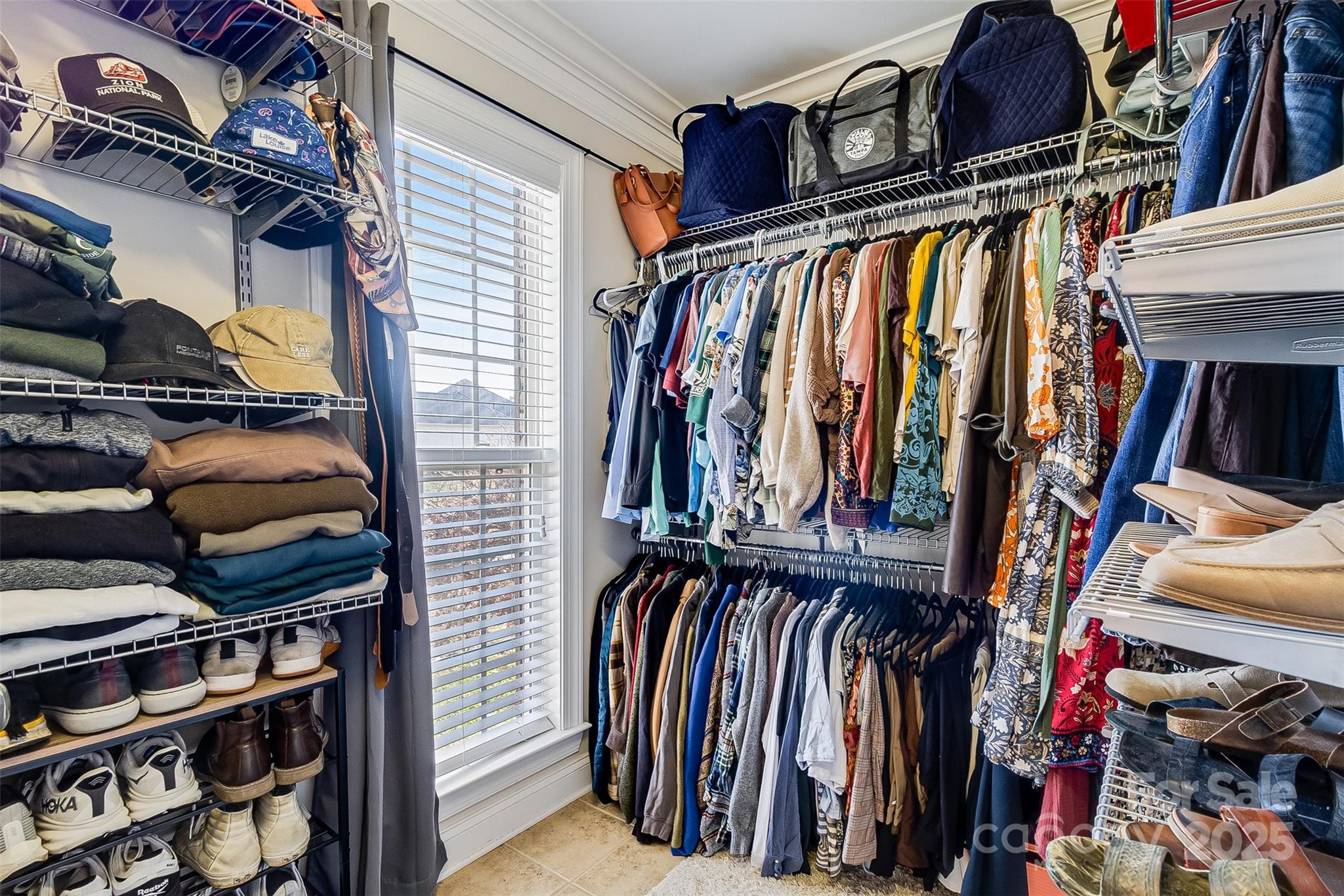 113 Pine Bluff Court