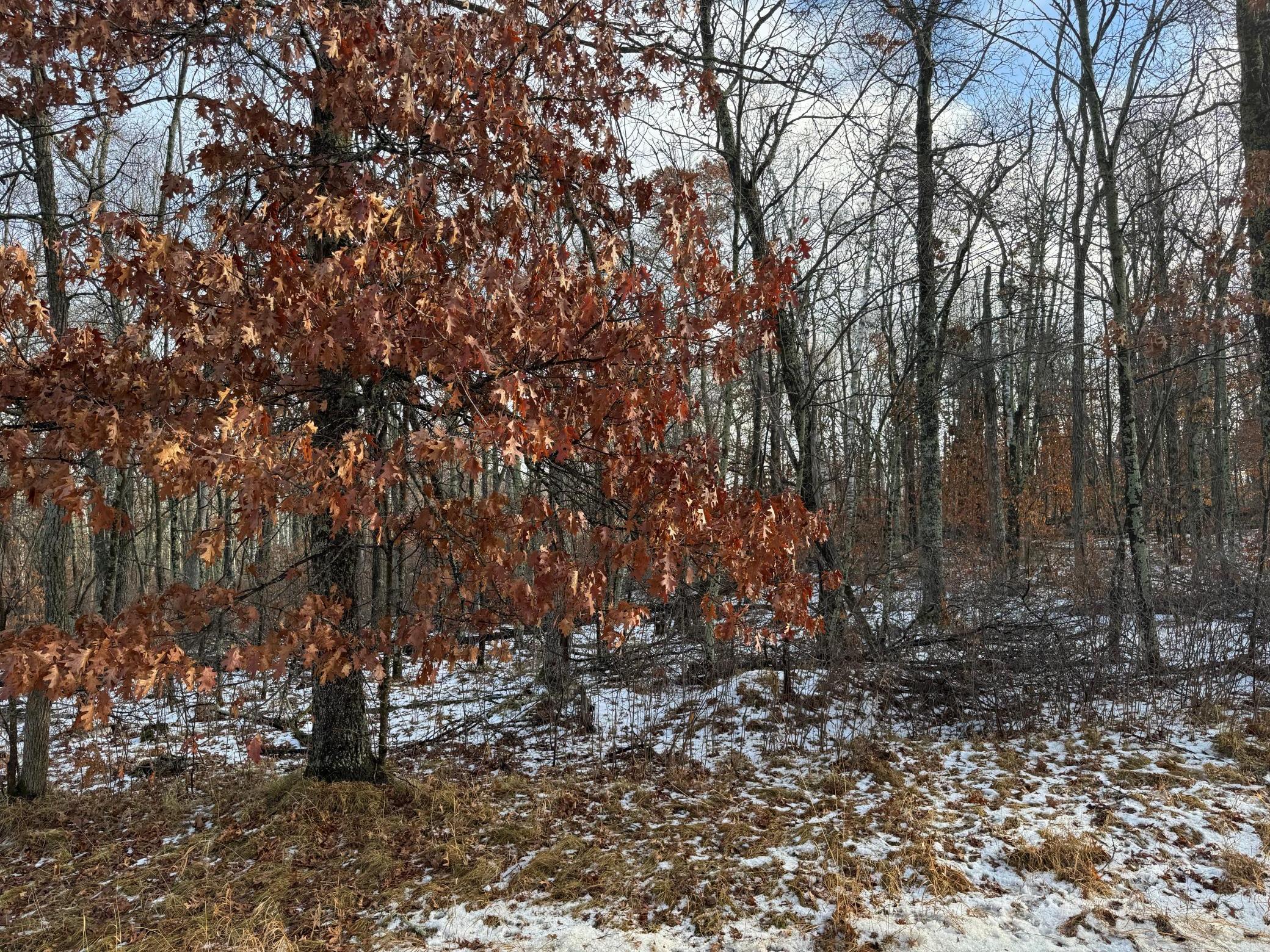 Lot 43 Ranchette Drive