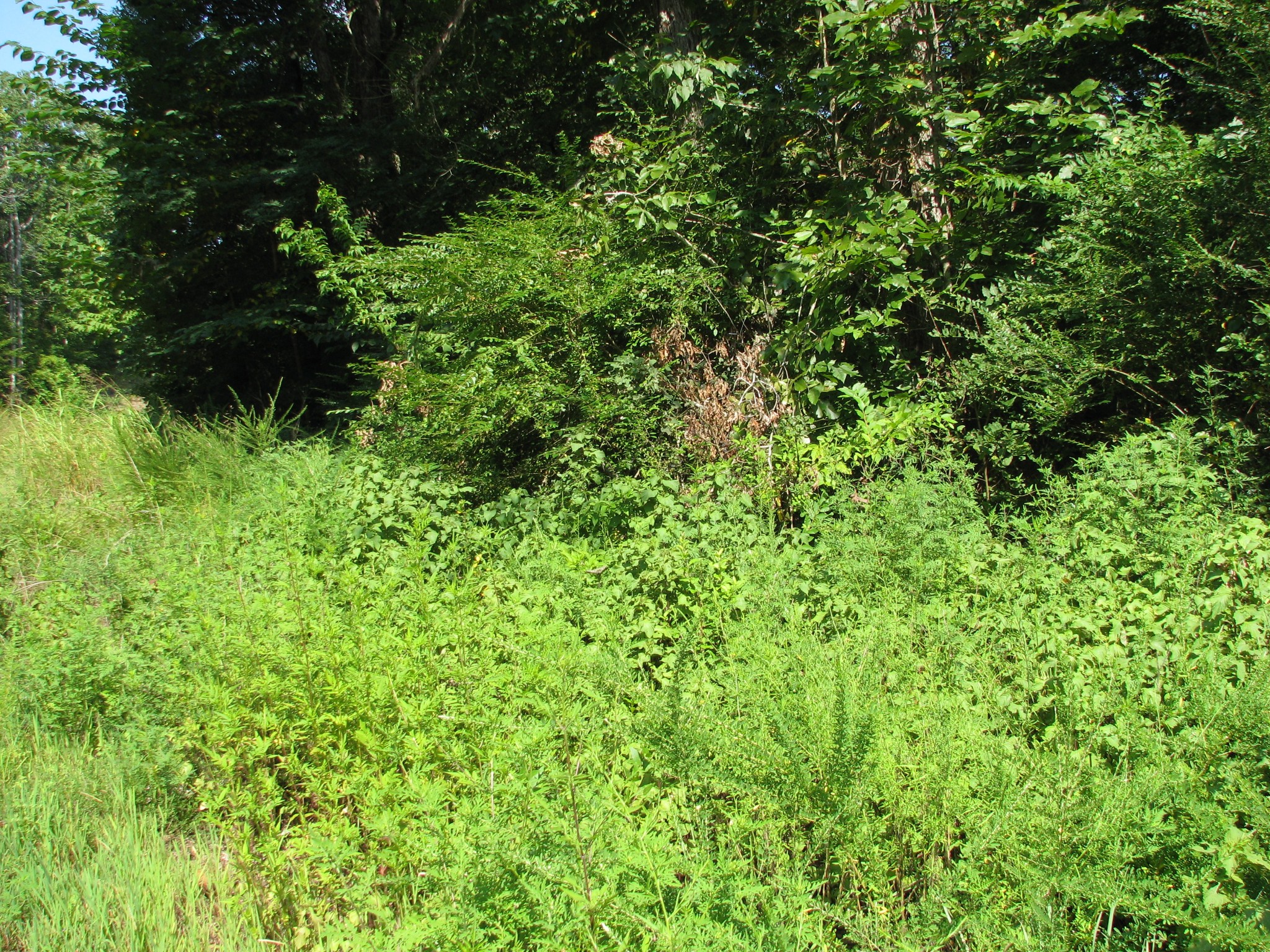 0 Sycamore Landing Rd