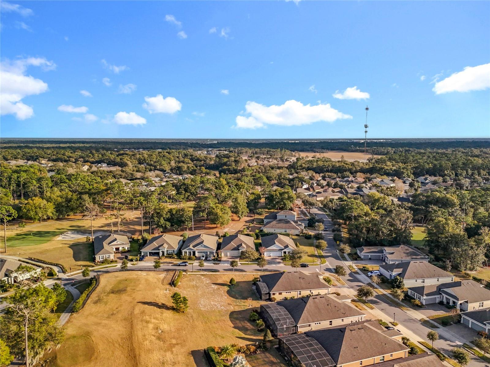 295 Northcote Court